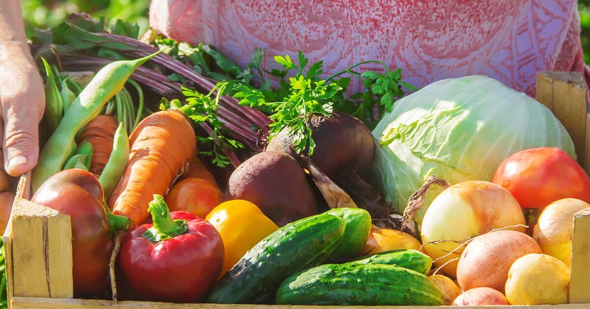 Ireland's food strategy needs a radical overhaul