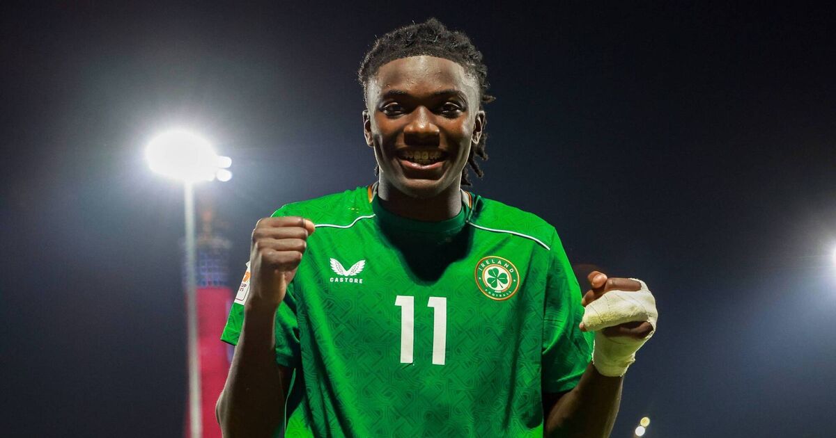 Three potential Ireland bolters from Heimir Hallgrimsson's fringe squad