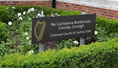 Brother tells trial that West Cork stabbing scene was like 'a horror movie'