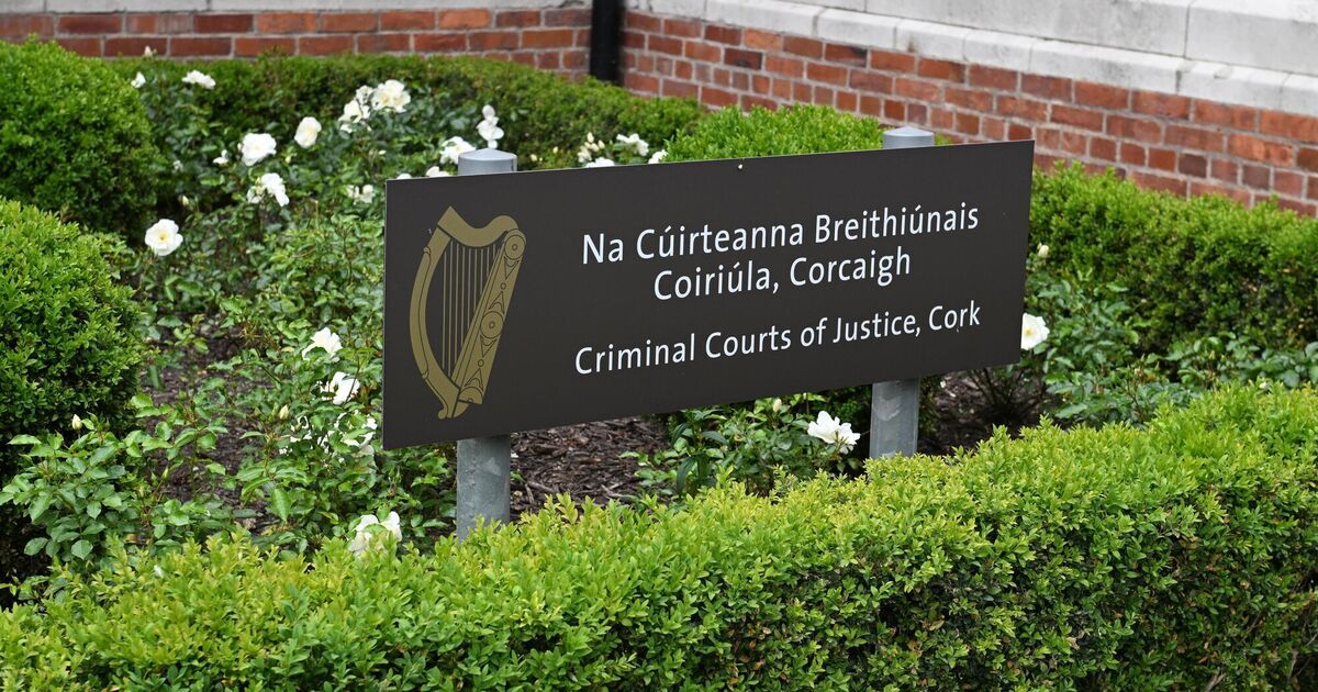 Brother tells trial that West Cork stabbing scene was like 'a horror movie'