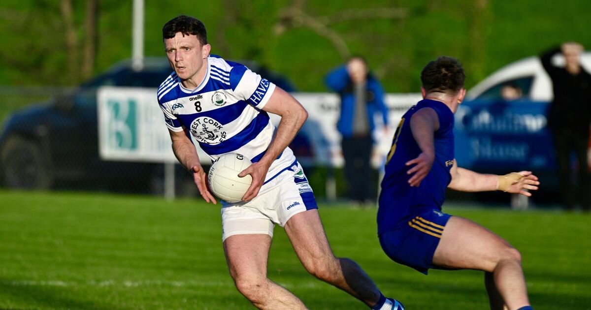 Mark Collins masterclass drives Castlehaven past St Finbarr's