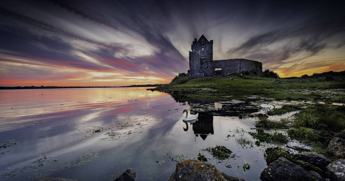 Ireland's Atlantic coastal clans were not isolated, purely Gaelic societies in the Middle Ages