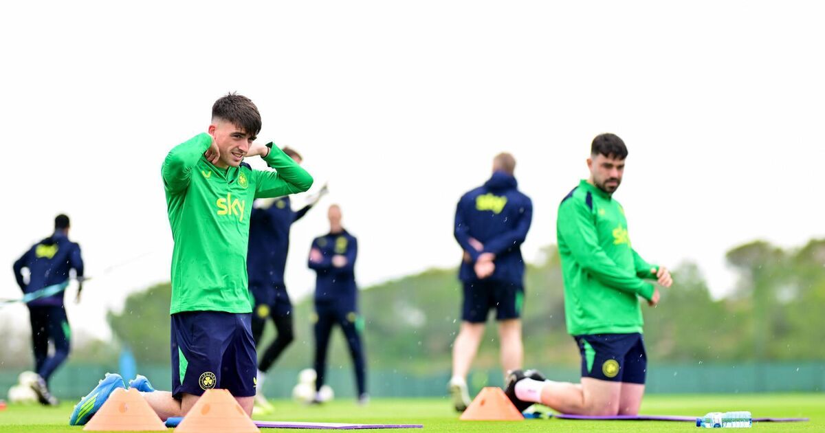 Why League of Ireland players have freedom to speak loudest in game of political football