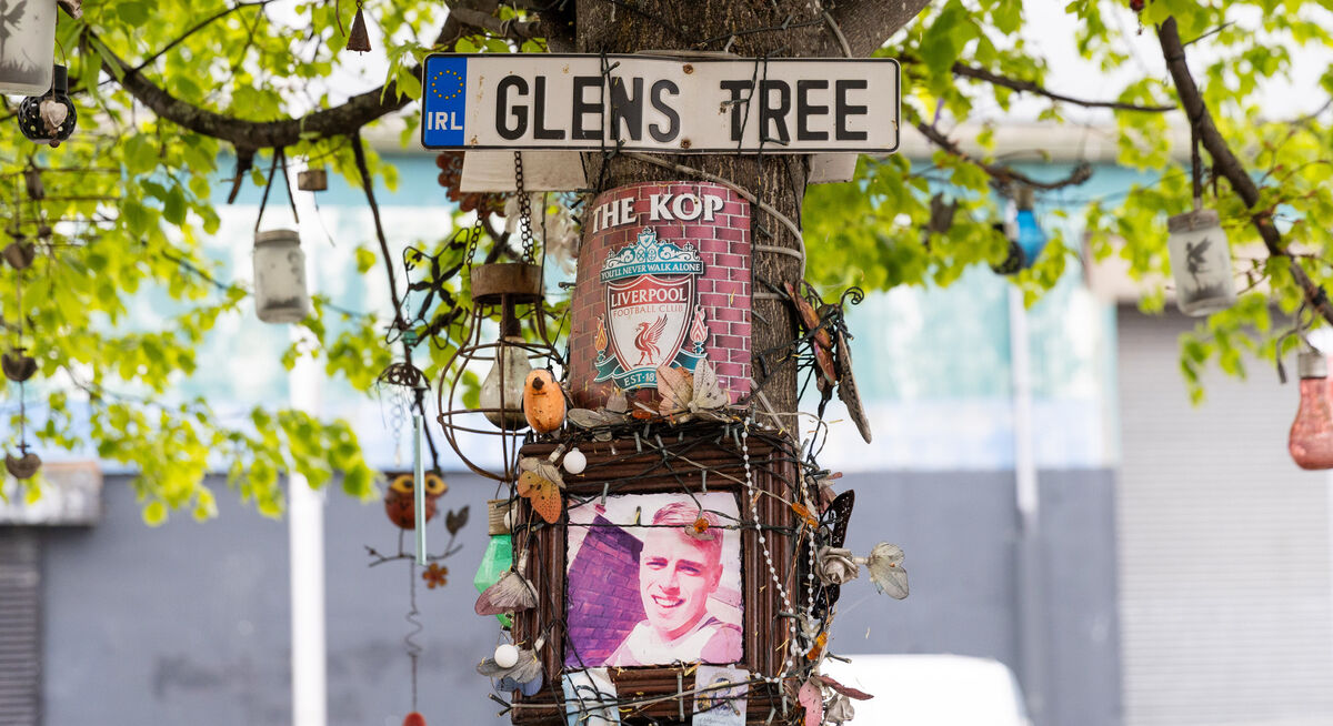 A tree dedicated to Glen at Rose's home in Ballybough, Dublin. Picture: Gareth Chaney