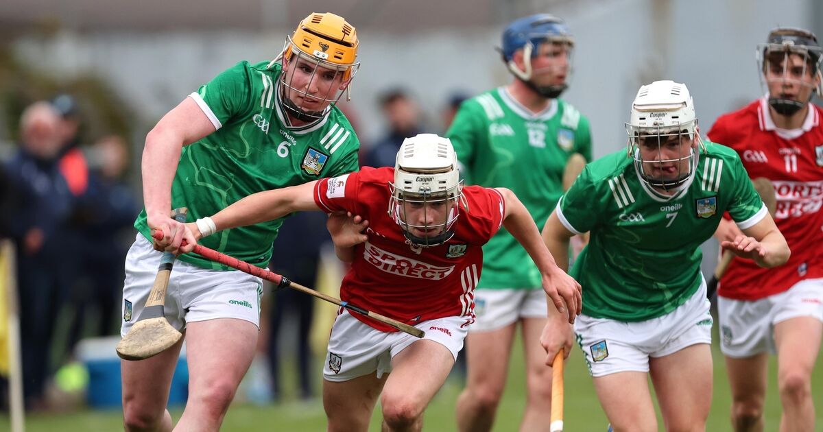 Limerick seal Munster MHC final berth with dominant win over Cork