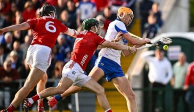 Brian Hayes and Mark Coleman immense against Waterford 