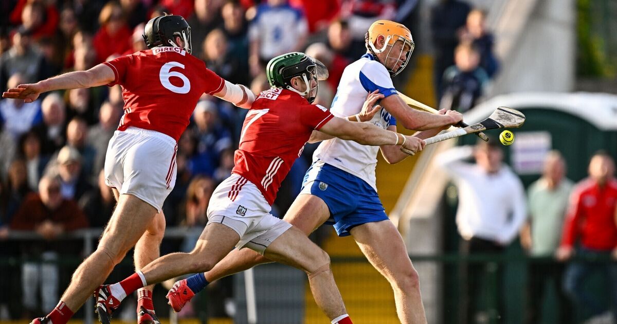 Brian Hayes and Mark Coleman immense against Waterford 