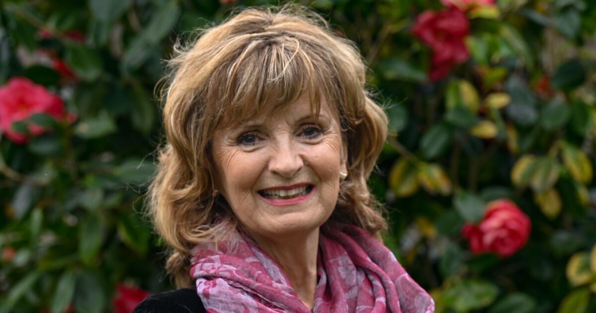 Adi Roche says Ireland should commit to renewables rather than nukes