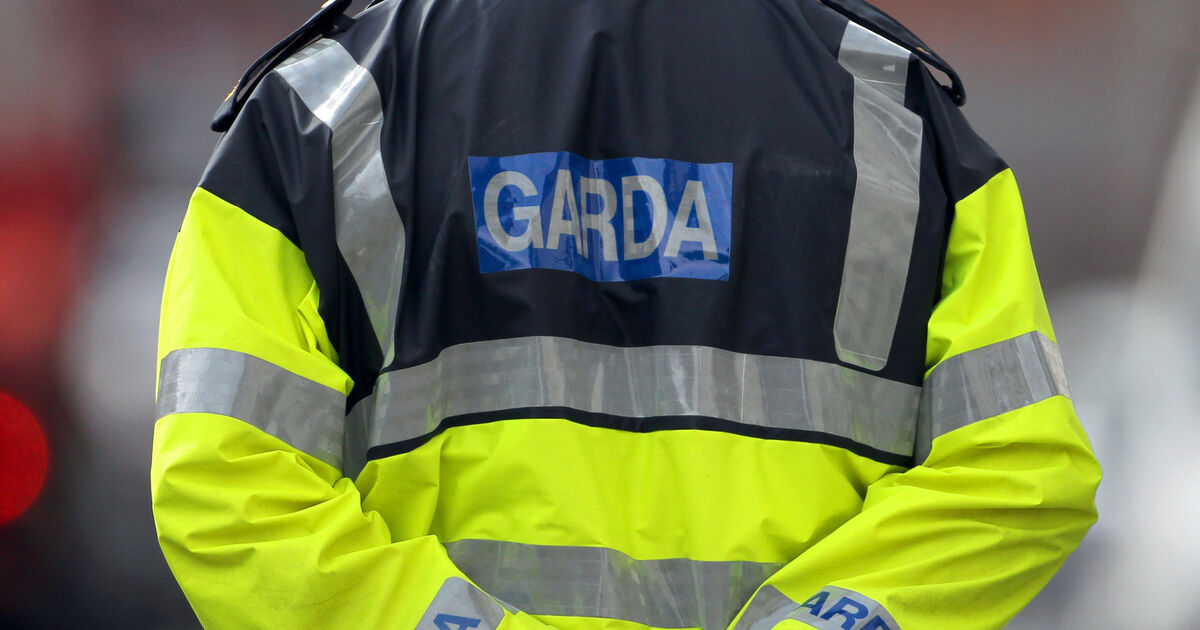 Grieving garda successfully applies for judicial review of bullying complaints 