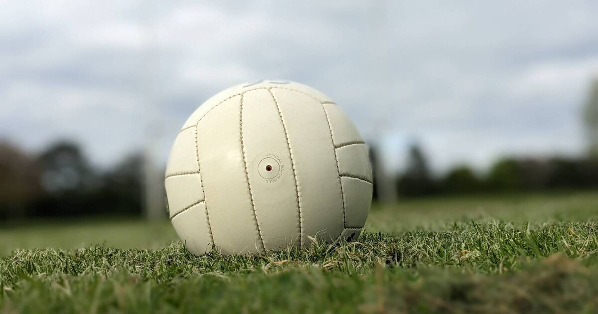 Former Cork City player's life 'spiralled out of control' after brother's death in road crash