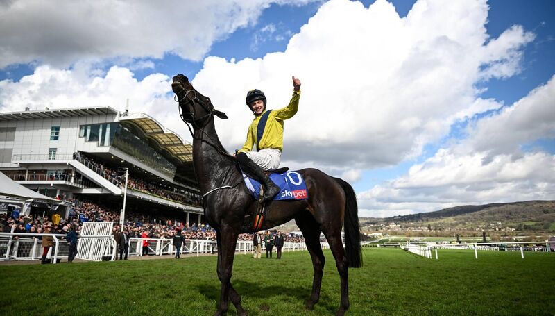 Jockey Michael O'Sullivan celebrates on Marine Nationale at Cheltenham in 2023. Picture: Harry Murphy/Sportsfile