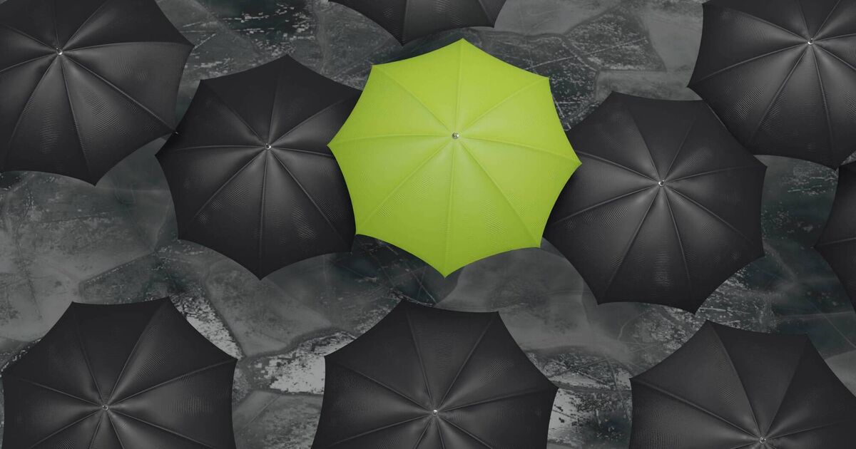Workplace Wellbeing: How to find your footing when life changes