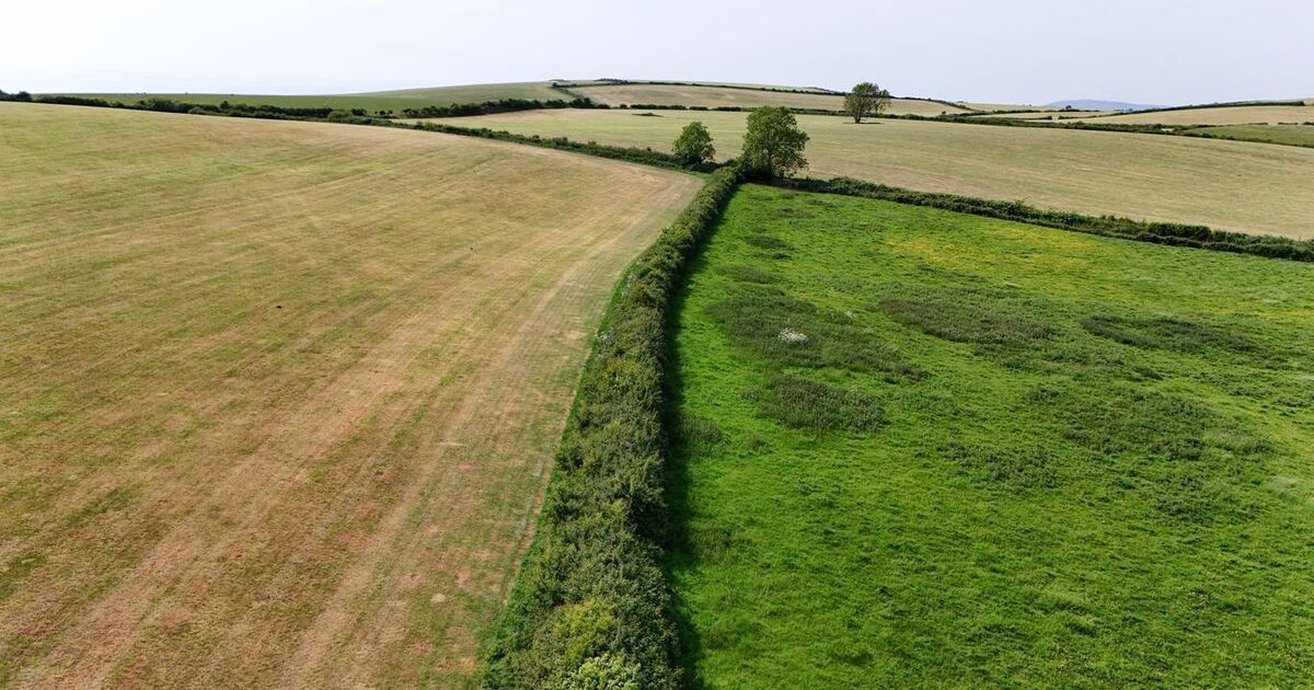 What happens when Land Registry maps and farm boundaries don’t match?