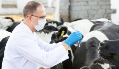 North Cork veterinary practice acquired by global firm