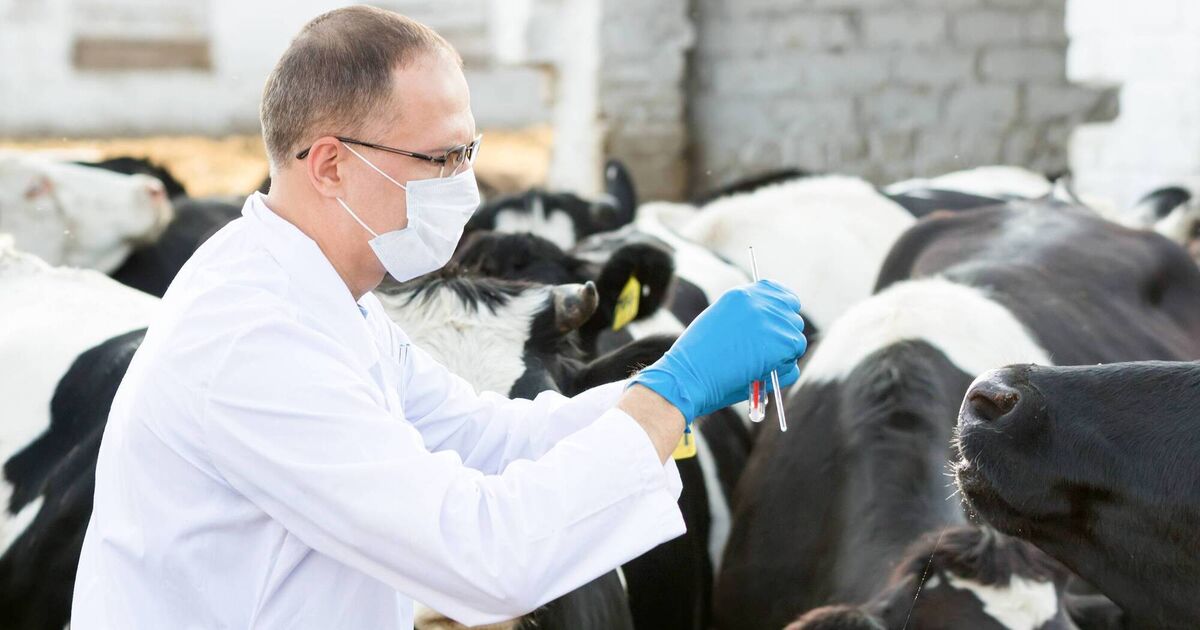 North Cork veterinary practice acquired by global firm