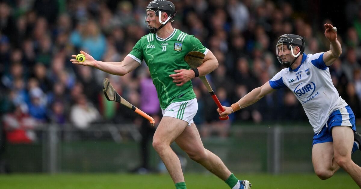 Brian Gavin: James Owens unfortunate to miss illegal hurley drop before key Limerick goal - Irish Examiner