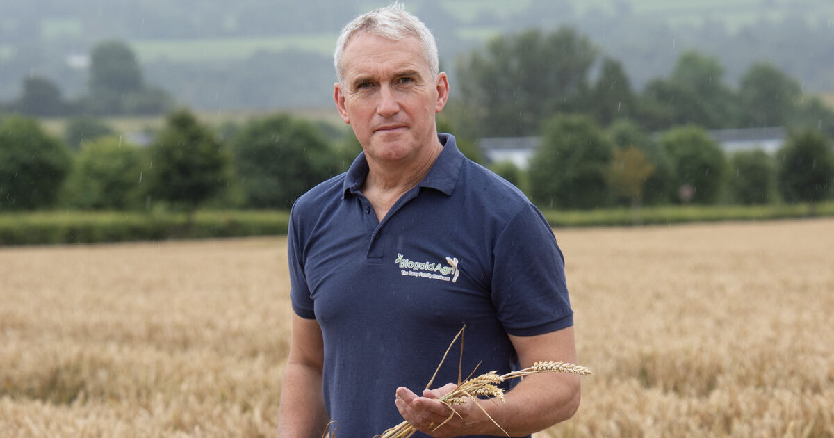 Tom Barry: Fuel protests brought home the value of self-sufficiency