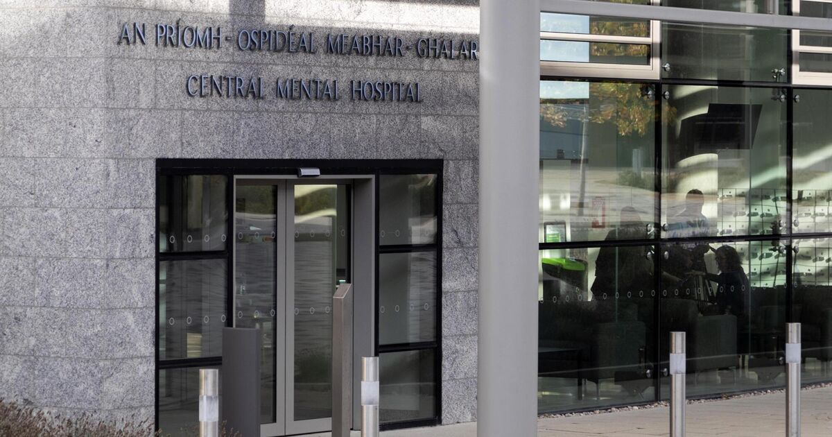 Carrigaline manslaughter case 'sums up' Ireland's mental health crisis, says barrister