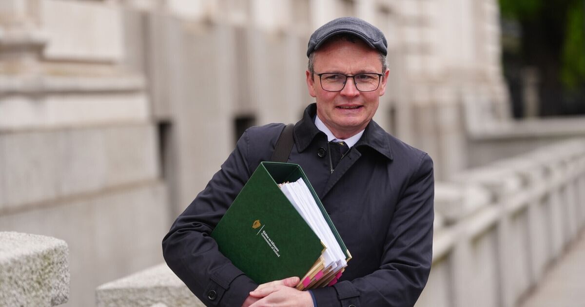 Patrick O'Donovan claims he was dropped from interview on RTÉ with minutes' notice