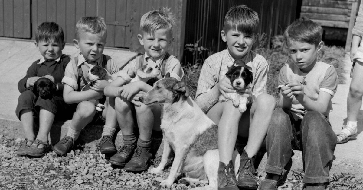 Kieran Connell: Ireland has a long multicultural history. It's time to tell that story