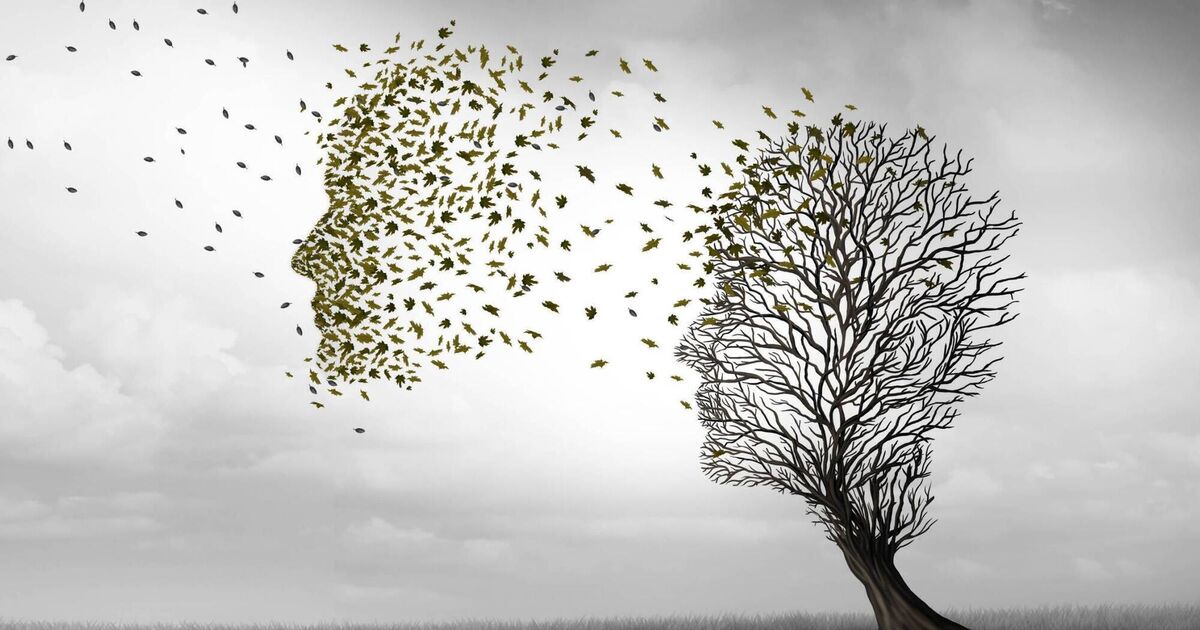 Is your lifestyle increasing your risk of Alzheimer’s?