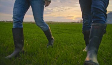 One of Ireland’s top-performing suckler farms to host farm walk