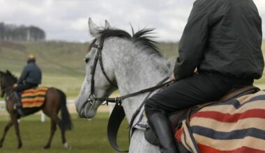 Horse Sport Ireland launches new 2030 strategic plan