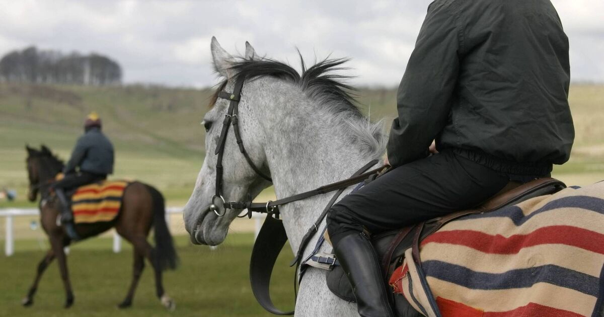 Horse Sport Ireland launches new 2030 strategic plan