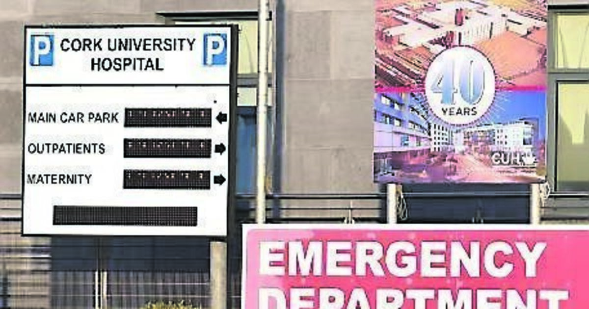 Cork girl who sued HSE over care for burst appendix settles action for €165k