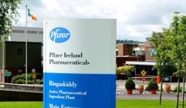 Ireland has no influence on global events and must use other means to attract investment, IDA warns