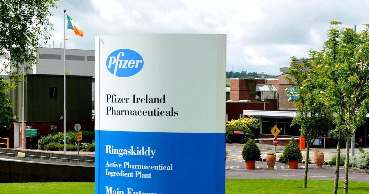Ireland has no influence on global events and must use other means to attract investment, IDA warns