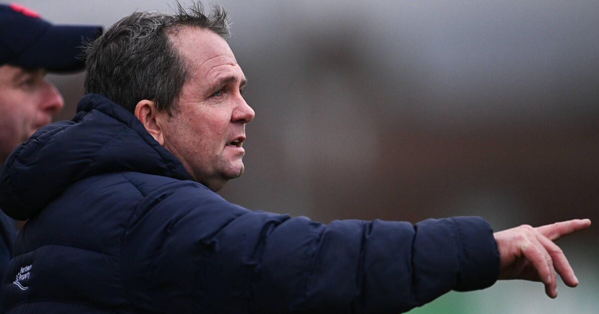 Davy Fitzgerald steps down as Antrim boss 