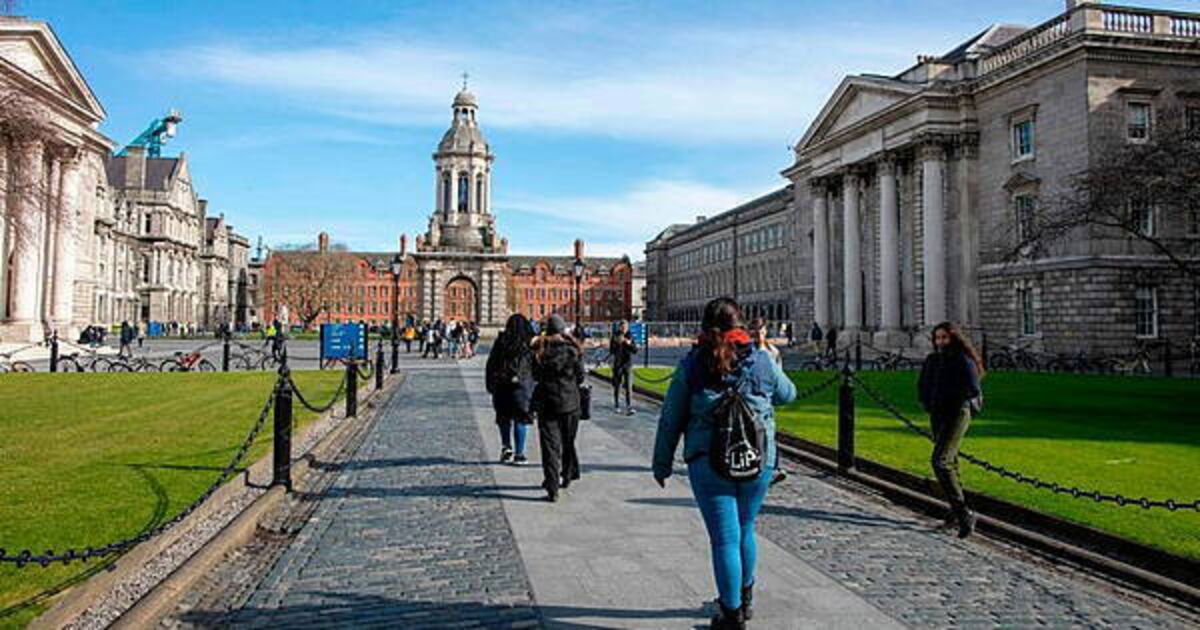 Pigeon in a costume cupboard: Odd wildlife callouts at Trinity College