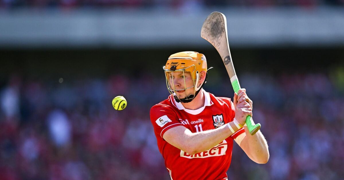 Shane Barrett: Cork hurlers are the best-followed team in the country of any sport