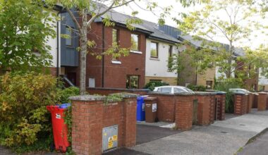 Three years on residents of Cork estate say mould and rodent issues still not addressed