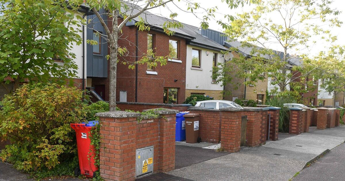 Three years on residents of Cork estate say mould and rodent issues still not addressed