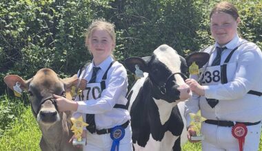 Paula Hynes: A year of much progression