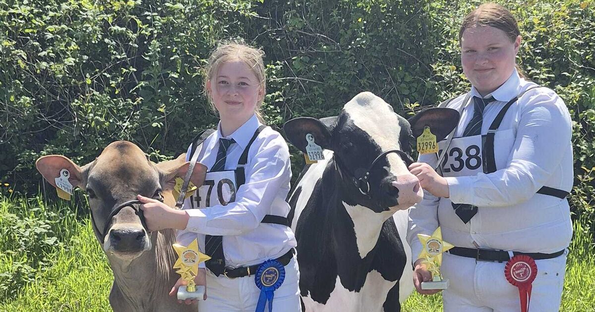 Paula Hynes: A year of much progression