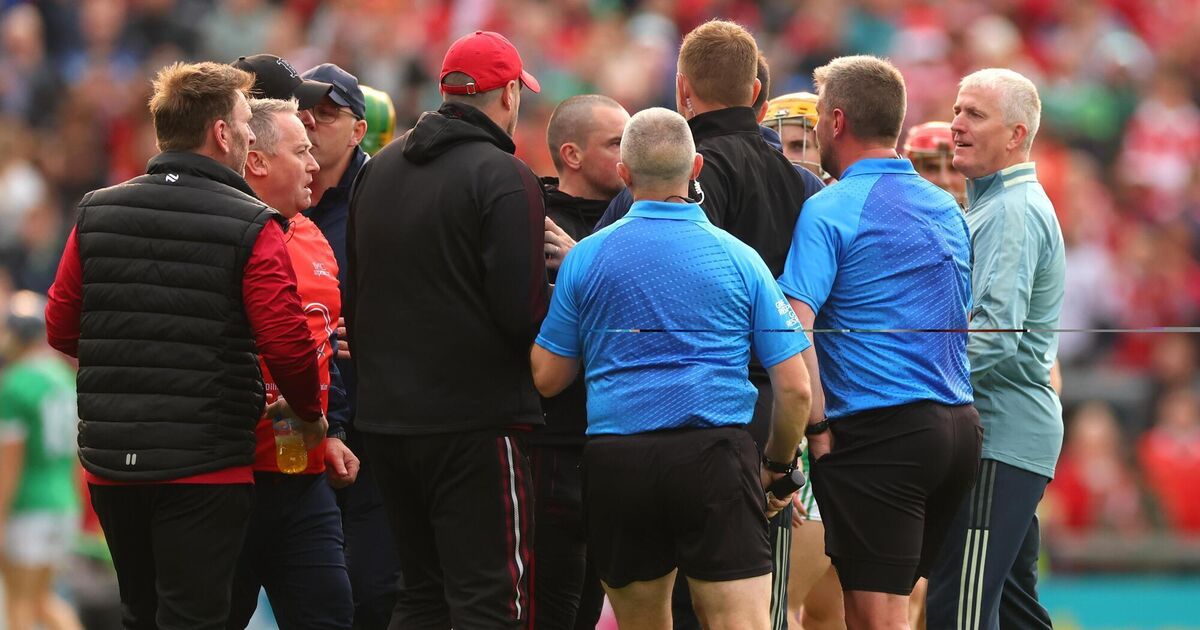 John Kiely: Limerick helping referees have the best day they can this year