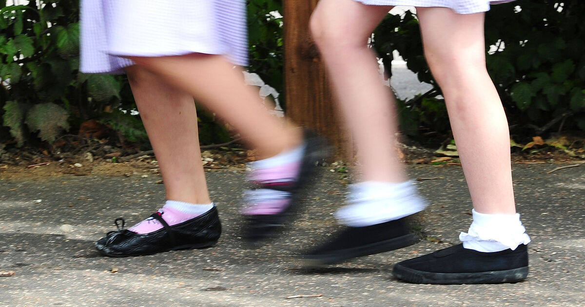 Schools across Carlow close after threatening emails warn of mass shooting