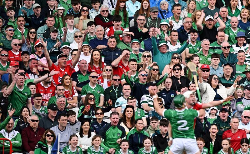 Spectators react during the game in April. Picture: Seb Daly/Sportsfile