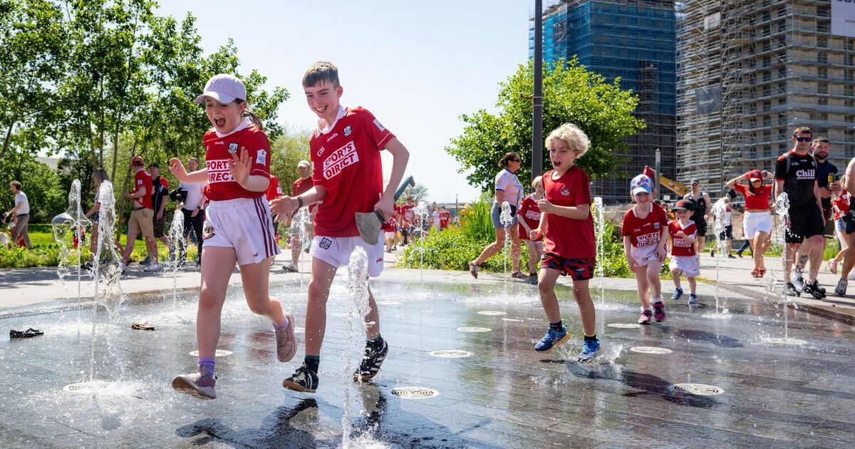 Fanzones and skill challenges - calls to crank up the Cork Munster final matchday experience 