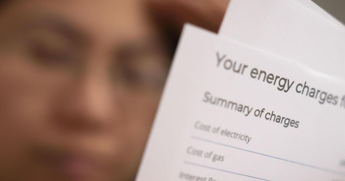 Irish consumers face €600 rise in energy bills due to data centres, report warns