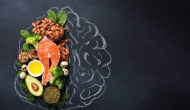 Food for thought: Diets that improve cognitive health and lower dementia risk