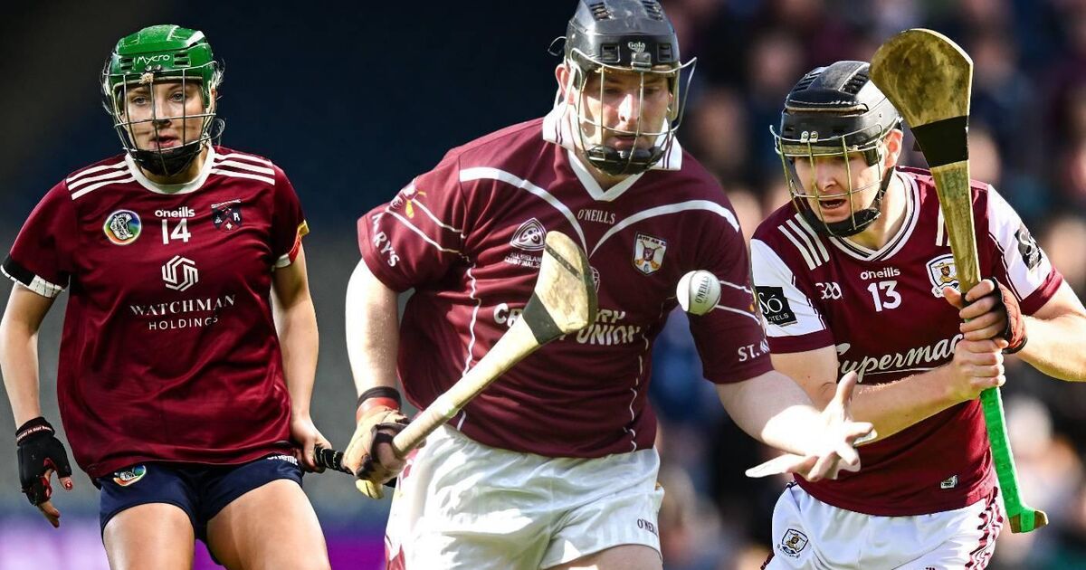 Tragedy taught gloved-up Rabbittes to love life on family's remarkable sporting journey