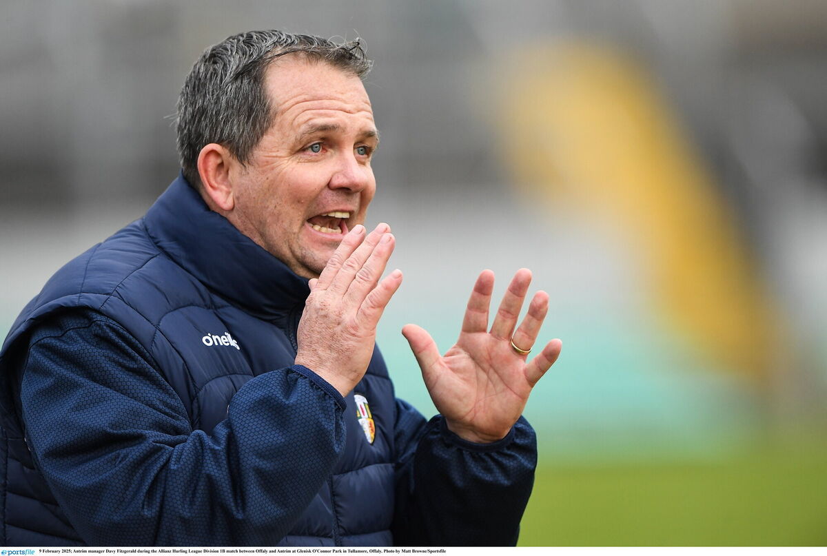 Davy Fitzgerald during the Allianz Hurling League Division 1B match between Offaly and Antrim. Pic: Matt Browne/Sportsfile.