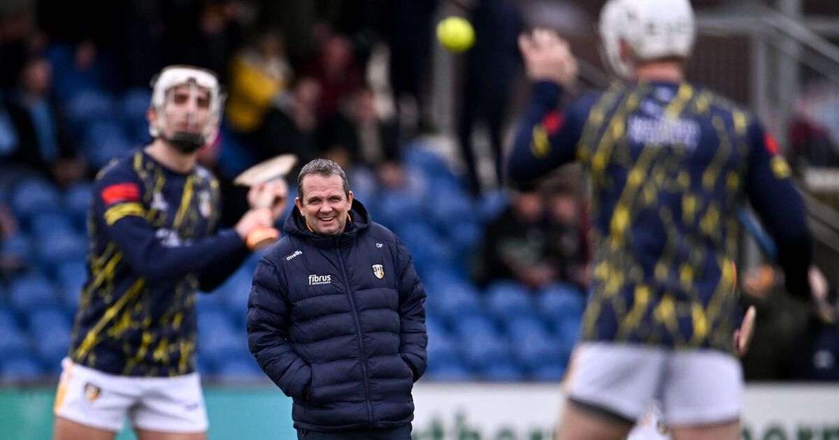 Davy Fitz, what's next? 'I'm still relatively young as regards a manager'
