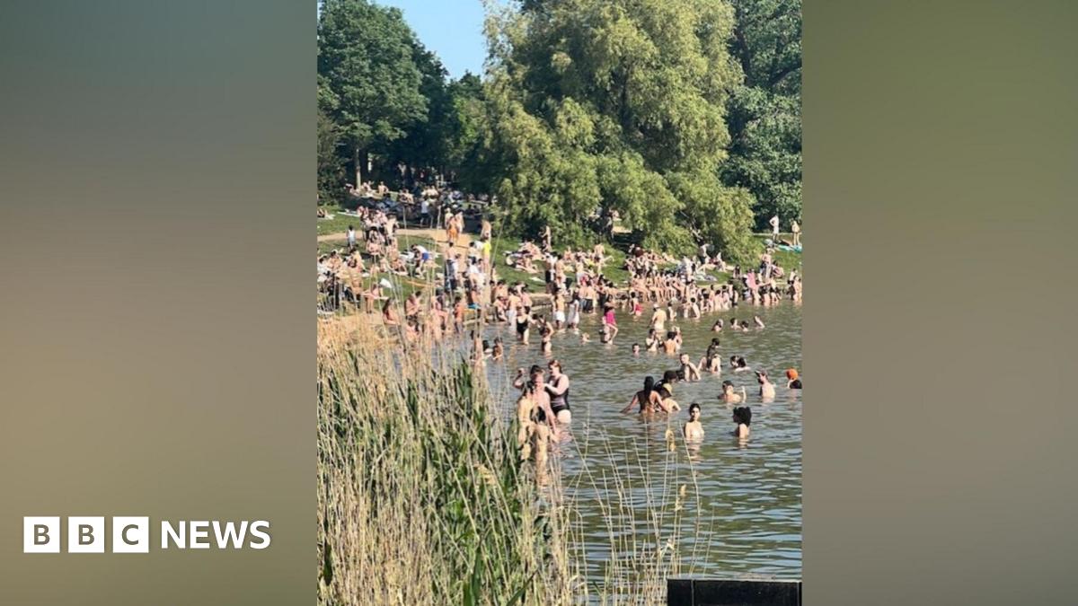 The image shows groups of swimmers in a non-bathing pool, with people gathered by the edge and people sitting on the grassy banks of the pool on Hampstead Heath.