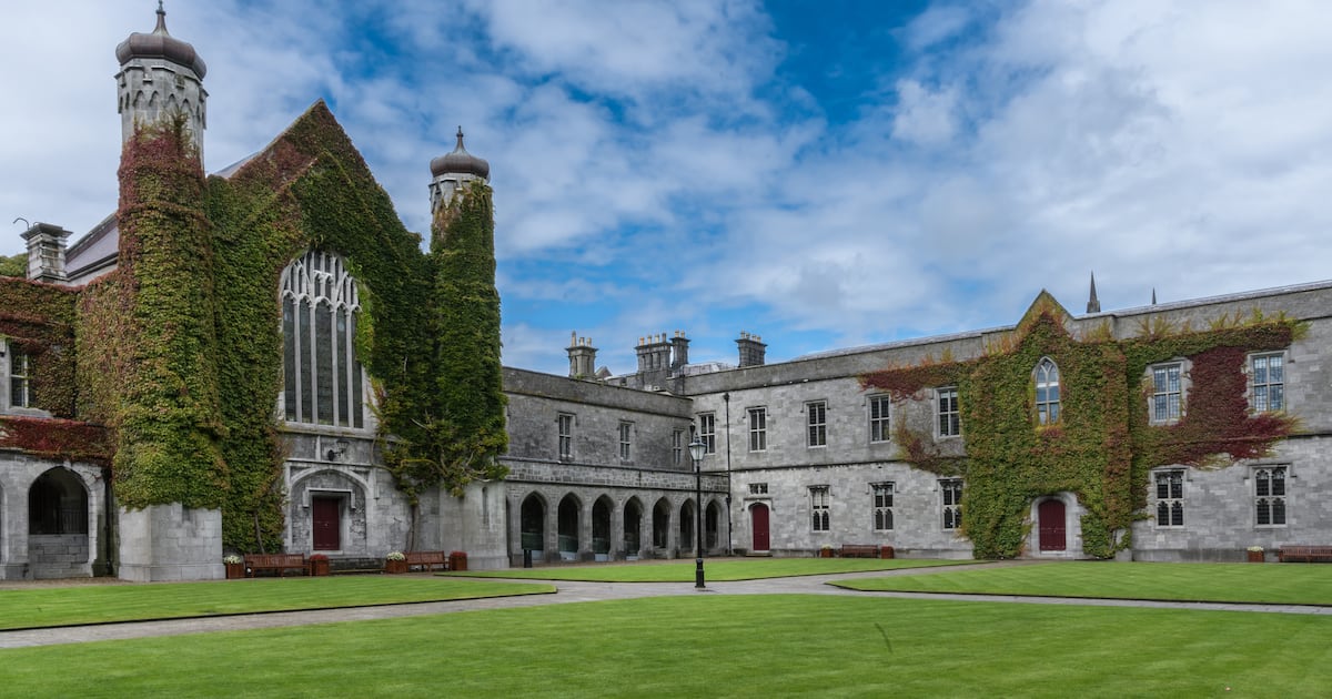 University of Galway academic fails in challenge to younger applicant who secured lecturing post – The Irish Times
