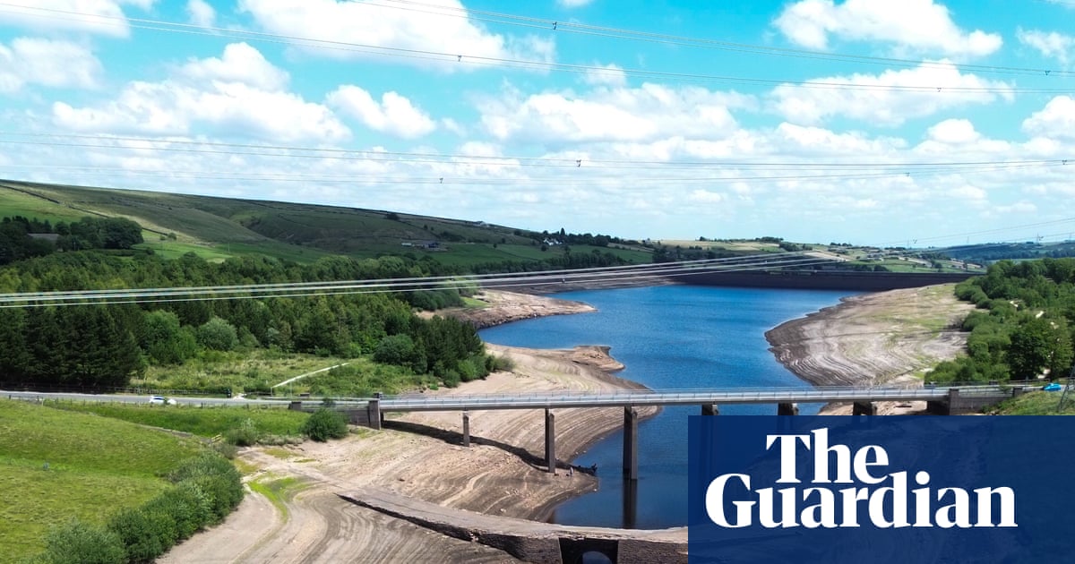 England must harvest rainfall and take action on water usage, Lords warn | Water